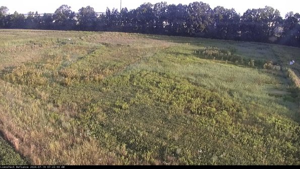 Cell 3_24-07-19_07-22-51-31