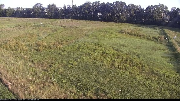 Cell 3_24-07-19_07-56-21-33