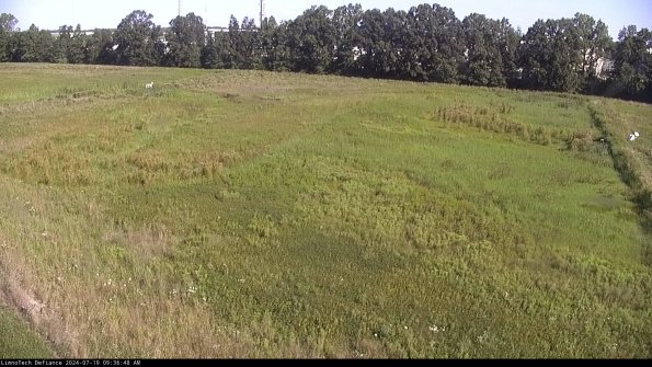 Cell 3_24-07-19_09-36-48-59