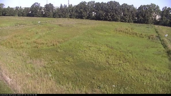 Cell 3_24-07-19_10-10-17-35