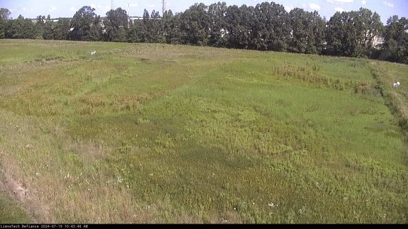 Cell 3_24-07-19_10-43-47-33