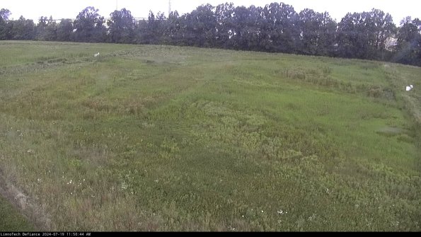 Cell 3_24-07-19_11-50-45-34