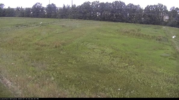 Cell 3_24-07-19_14-04-44-32