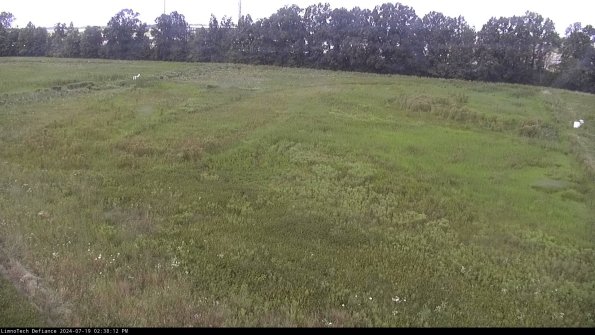 Cell 3_24-07-19_14-38-13-34