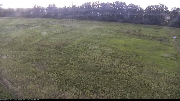 Cell 3_24-07-19_19-39-36-34