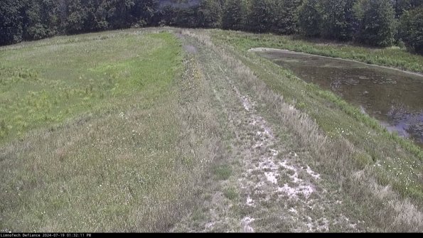 Cell 4 to Basin_24-07-19_13-32-12-36