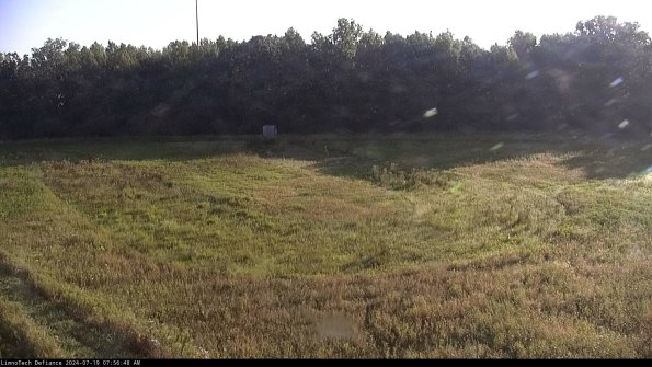 Cell 4_24-07-19_07-56-49-36