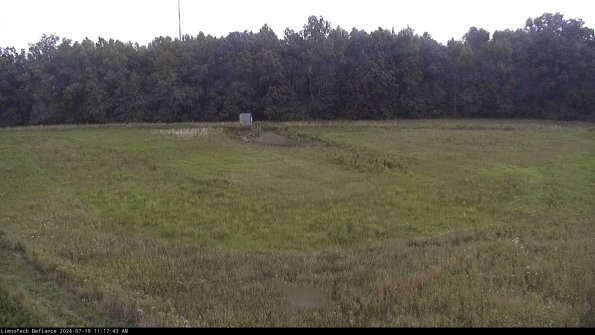 Cell 4_24-07-19_11-17-44-31