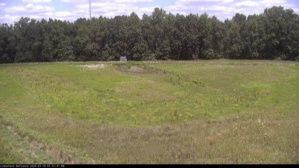 Cell 4_24-07-19_13-31-42-33