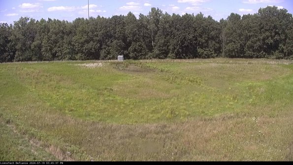 Cell 4_24-07-19_15-45-38-33