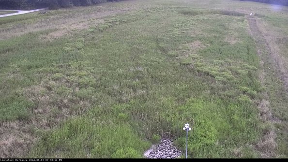 Cell 1_24-08-01_19-08-53-34