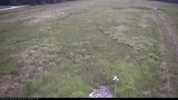 Cell 1_24-08-01_20-49-23-34