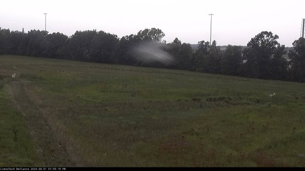 Cell 2_24-08-01_19-09-20-37