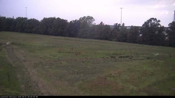 Cell 2_24-08-01_20-49-50-40