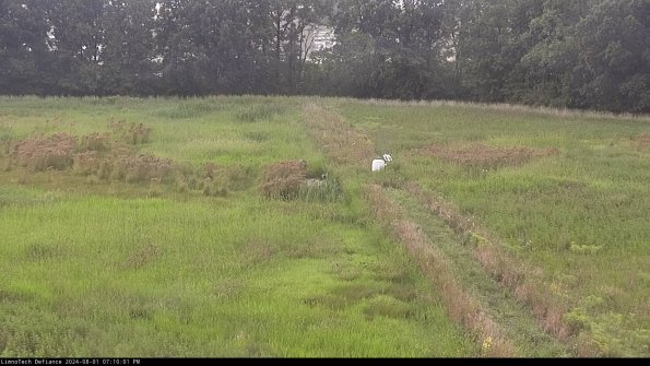 Cell 3 to 4_24-08-01_19-10-02-31