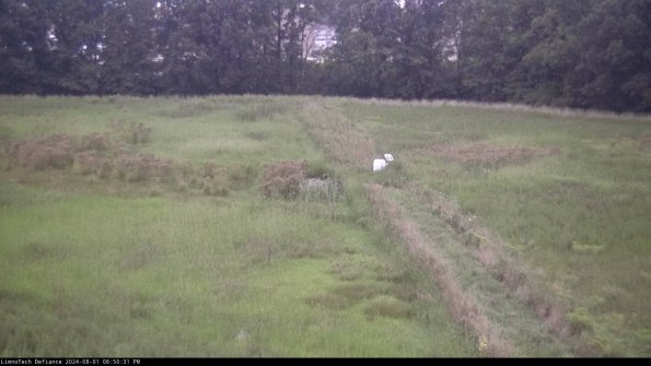 Cell 3 to 4_24-08-01_20-50-32-34