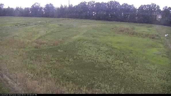 Cell 3_24-08-01_19-09-48-33