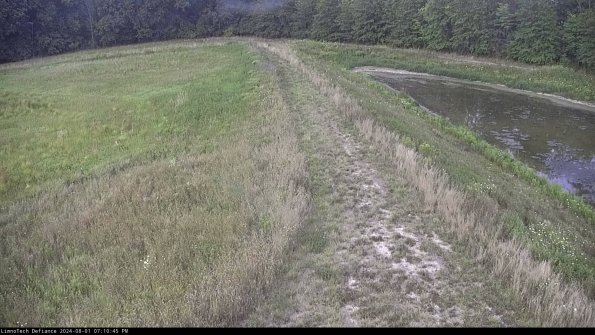 Cell 4 to Basin_24-08-01_19-10-46-36