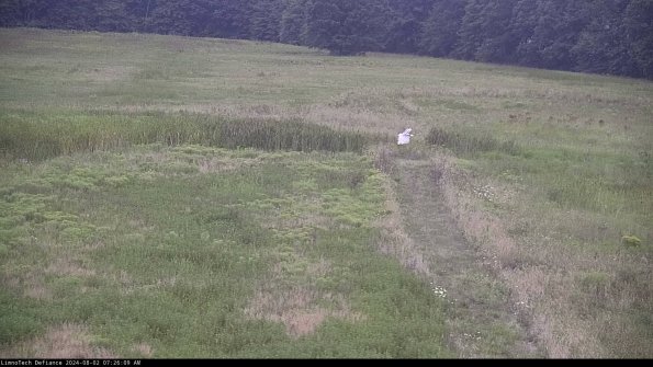 Cell 1 to 2_24-08-02_07-26-10-35