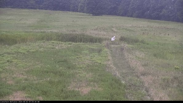 Cell 1 to 2_24-08-02_07-59-39-34