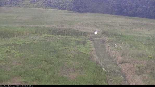 Cell 1 to 2_24-08-02_08-33-08-33