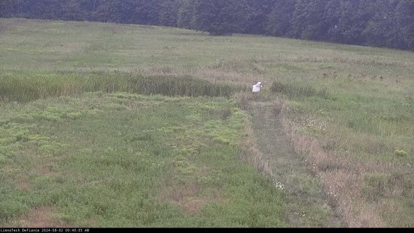 Cell 1 to 2_24-08-02_09-40-06-33