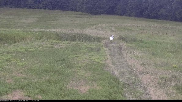 Cell 1 to 2_24-08-02_11-20-37-33