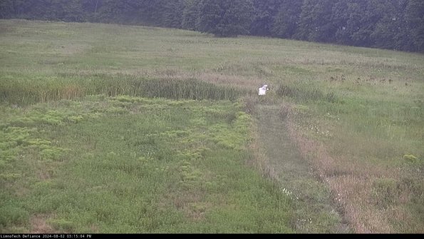 Cell 1 to 2_24-08-02_15-15-05-34