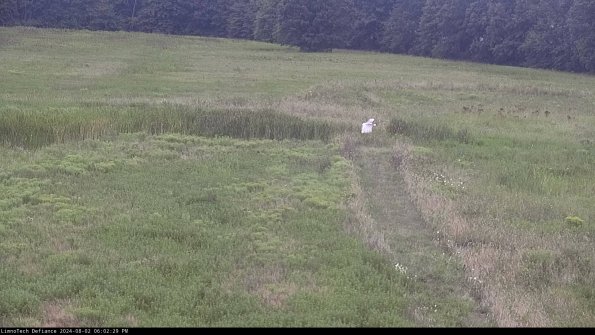 Cell 1 to 2_24-08-02_18-02-30-34