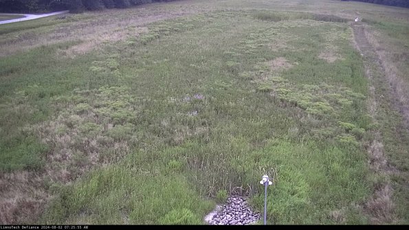 Cell 1_24-08-02_07-25-56-34