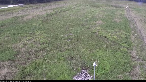 Cell 1_24-08-02_11-20-23-32