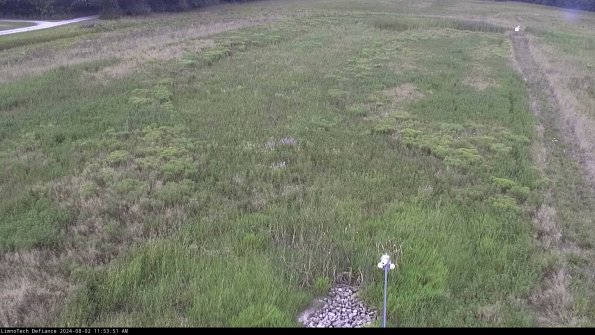 Cell 1_24-08-02_11-53-52-34