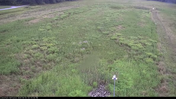 Cell 1_24-08-02_15-14-51-32