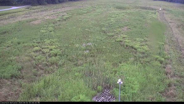 Cell 1_24-08-02_15-48-21-34