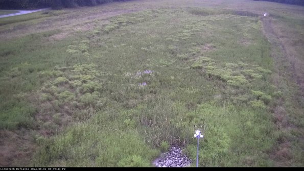 Cell 1_24-08-02_20-49-45-33