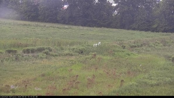 Cell 2 to 3_24-08-02_10-14-02-45