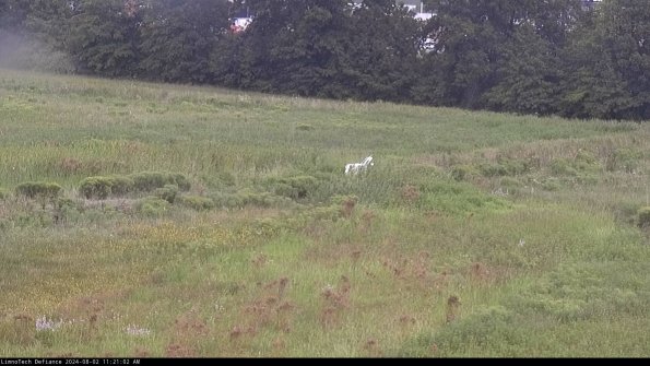 Cell 2 to 3_24-08-02_11-21-03-43