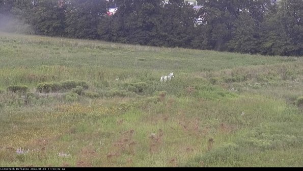 Cell 2 to 3_24-08-02_11-54-32-55