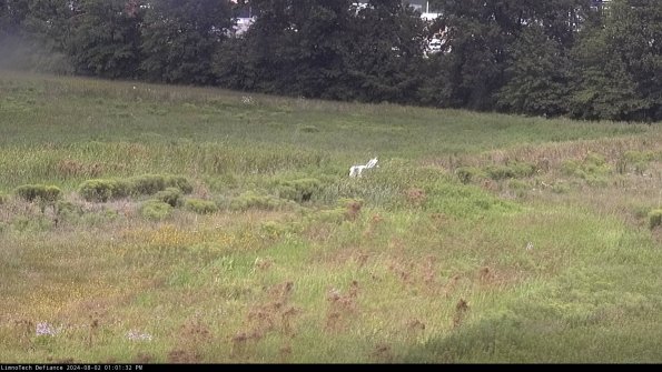 Cell 2 to 3_24-08-02_13-01-32-52