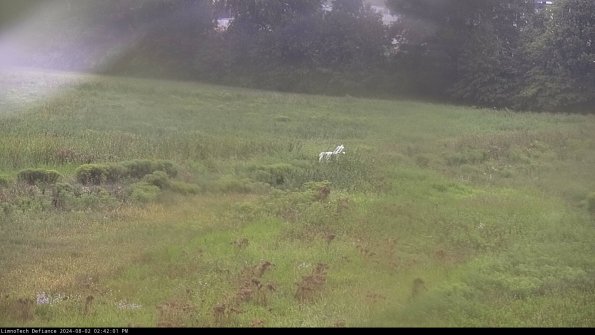 Cell 2 to 3_24-08-02_14-42-01-54