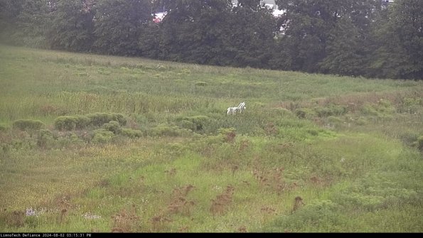 Cell 2 to 3_24-08-02_15-15-31-46