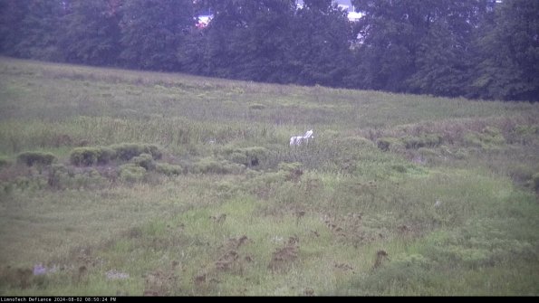 Cell 2 to 3_24-08-02_20-50-25-40