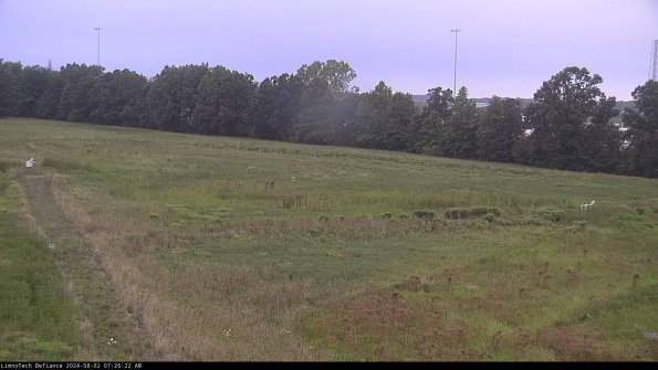 Cell 2_24-08-02_07-26-23-33