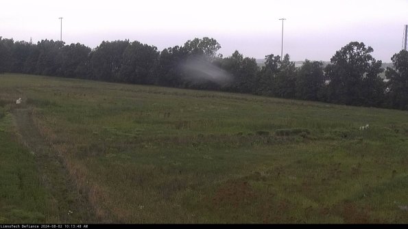 Cell 2_24-08-02_10-13-49-37