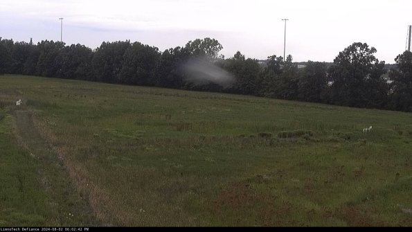 Cell 2_24-08-02_18-02-43-35