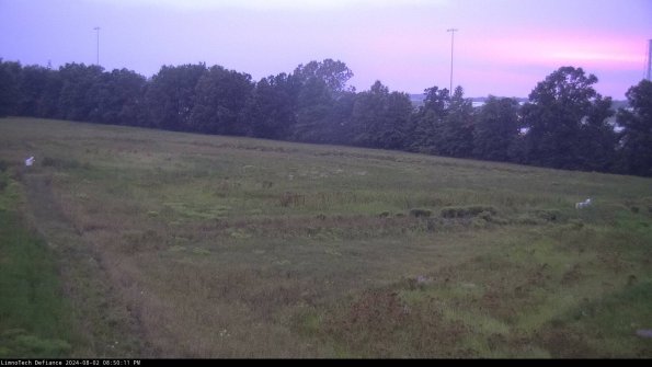 Cell 2_24-08-02_20-50-12-39