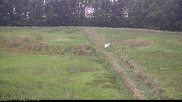 Cell 3 to 4_24-08-02_07-27-05-31