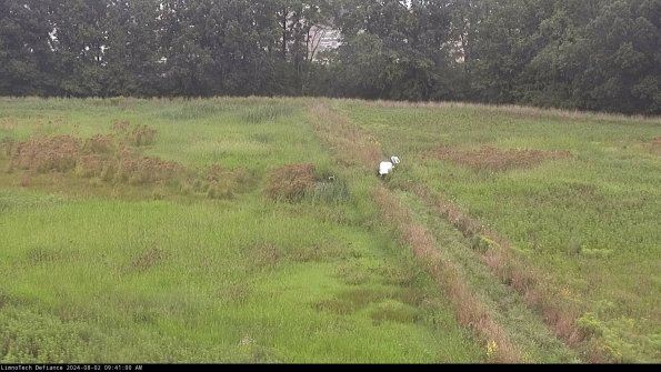 Cell 3 to 4_24-08-02_09-41-01-32