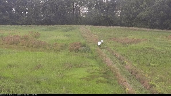 Cell 3 to 4_24-08-02_10-14-31-34