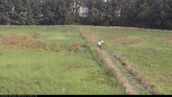 Cell 3 to 4_24-08-02_10-48-02-33